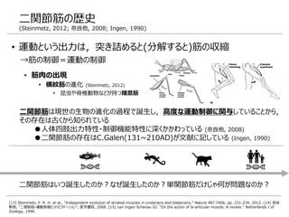 二関節筋の歴史
(Steinmetz, 2012; 奈良他, 2008; Ingen, 1990)
[13] Steinmetz, P. R. H. et al., “Independent evolution of striated muscles in cnidarians and bilaterians.” Nature 487.7406, pp. 231-234, 2012. [14] 奈良
勲他, "二関節筋-運動制御とリハビリテーション", 医学書院, 2008. [15] van Ingen Schenau GJ. "On the action of bi-articular muscle; A review." Netherlands J of
Zoology, 1990.
二関節筋は現世の生物の進化の過程で誕生し，高度な運動制御に関与していることから，
その存在は古くから知られている
●人体四肢出力特性・制御機能特性に深くかかわっている (奈良他, 2008)
●二関節筋の存在はC.Galen(131~210AD)が文献に記している (Ingen, 1990)
• 運動という出力は，突き詰めると(分解すると)筋の収縮
→筋の制御＝運動の制御
• 筋肉の出現
• 横紋筋の進化 (Steinmetz, 2012)
• 昆虫や脊椎動物などが持つ随意筋
二関節筋はいつ誕生したのか？なぜ誕生したのか？単関節筋だけじゃ何が問題なのか？
 