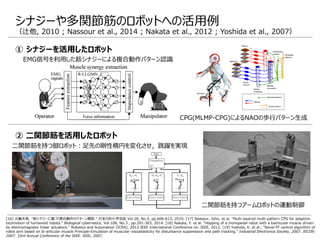 [16] 辻敏夫他. "筋シナジーに基づく複合動作のパターン識別." 日本ロボット学会誌 Vol.28, No.5, pp.606-613, 2010. [17] Nassour, John, et al. "Multi-layered multi-pattern CPG for adaptive
locomotion of humanoid robots." Biological cybernetics, Vol.108, No.3 , pp.291-303, 2014. [18] Nakata, Y. et al. "Hopping of a monopedal robot with a biarticular muscle driven
by electromagnetic linear actuators." Robotics and Automation (ICRA), 2012 IEEE International Conference on. IEEE, 2012. [19] Yoshida, K. et al., "Novel FF control algorithm of
robot arm based on bi-articular muscle Principle-Emulation of muscular viscoelasticity for disturbance suppression and path tracking." Industrial Electronics Society, 2007. IECON
2007. 33rd Annual Conference of the IEEE. IEEE, 2007.
シナジーや多関節筋のロボットへの活用例
（辻他, 2010 ; Nassour et al., 2014 ; Nakata et al., 2012 ; Yoshida et al., 2007）
① シナジーを活用したロボット
② 二関節筋を活用したロボット
EMG信号を利用した筋シナジーによる複合動作パターン認識
CPG(MLMP-CPG)によるNAOの歩行パターン生成
二関節筋を持つ脚ロボット：足先の剛性楕円を変化させ，跳躍を実現
二関節筋を持つアームロボットの運動制御
 