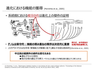 • 系統樹における枝分かれは進化上の傑作の証明
• ゲノムは保守的：機能の積み重ねの順序は決定的に重要
• ノックアウトマウスは生存率・繁殖能力が顕著に低下(遺伝子改変は致命的)(Morishita et al., 2005)
[3] Morishita, T. et al., "Nephrogenic diabetes insipidus in mice lacking all nitric oxide synthase isoforms." Proceedings of the National
Academy of Sciences of the United States of America, Vol.102, No.30, pp.10616-10621, 2005.
進化における機能の獲得 (Morishita et al., 2005)
中立説の範囲外の劇的な変化もある
●遺伝子セットの倍化
●他の生物の遺伝子の挿入→ウイルスの遺伝子が哺乳類の遺伝子に挿入される
例えば，水中遊泳の
名残が陸生動物にも．
 