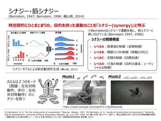シナジー・筋シナジー
(Bernstein, 1947; Bernstein, 1996; 横山他, 2014)
[4] Bernstein, N. A. “On the construction of movements.” Moscow: Medgiz, 1947. [5] Bernstein, N. A. “Levels of construction of movements.” Dexterity
and its development. Lawrence Erlbaum Associates, Mahwah, pp. 115-170, 1996. [6] 横山光他.“筋シナジーに基づく，異なる速度の歩行・走行を司る神経機構の解明
～運動学習への応用を目指して～.” 2014 年度 財団法人ミズノスポーツ振興財団研究助成 報告書, 2014.
※Bernsteinはシナジーで運動を指し，筋シナジーと
使い分けている (Bernstein 1947, 1996)
時空間的にひとまとまりの，目的を持った運動のことを「シナジー(synergy)」と呼ぶ
シナジーの階層構造
• レベルA：筋緊張の制御（姿勢制御）
• レベルB：関節リンクの制御（移動(CPG)）
• レベルC：空間の制御（目標到達）
• レベルD：行為の制御（目的の達成：シーケン
シャルな制御）
Mode1 Mode2
シナジーモデルによる筋活動波形生成 (横山他, 2014)
・https://www.youtube.com/watch?v=yKpJElwama8
カエルは２つのモード
（跳躍：左右対称
動作，歩行：左右
非対称動作）のシ
ナジーを持つ
 