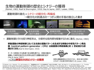 生物の運動制御の歴史とシナジーの獲得
(Romer, 1983; Roaf & Sherrington, 1910; Day & Jayne, 2007; Lesser, 1996)
[7] Romer, A.S., Parsons, T.S. and Hirakow, R., "脊椎動物のからだ: その比較解剖学" 法政大学出版局, 1983. [8] Roaf, H. E. and Sherrington, C. S., "Further
remarks on the spinal mammalian preparation." QJ Physiol 3, pp. 209-211, 1910. [9] Day, L. M. and Jayne, B. C., "Interspecific Scaling of the
Morphology and Posture of the Limbs During the Locomotion of Cats (Felidae)". The Journal of Experimental Biology 210, pp. 642-654, 2007. [10] Leeser,
K.F., "Locomotion Experiments on a Planar Quadruped Robot with Articulated Spine". Master’s Thesis. MIT, Department of Mechanical Engineering, 1996.
運動制御の進化＝シナジーの細分化・再編成
→細分化の到達点の一つが人間の手指の独立した動き
左右対称
(ミミズの蠕動)
左右非対称
(波打ち運動 )
前後非対称
(シーラカンスの鰭)
2つ以上のモード
(カエルの歩様)
• 運動制御とそれを担う神経系は，分節的な筋肉群を駆動するために進化 (Romer, 1983)
移動運動の神経制御において左右肢の運動パターンを生成する脊髄の中枢性パターン発生
器（central pattern generator : CPG）は最重要の神経機構と約 1 世紀前から認
識されてきた(Roaf & Sherrington, 1910)
チーターを典型とする高速で走る哺乳類では，四肢の動きに
連動して体幹全体が左右対称な波打ち運動を繰り返す
(Day & Jayne, 2007)
→これは新型の大きなシナジーの獲得 背骨は運動範囲を広げるだけでなく，前足と後ろ足間の
エネルギーの伝達の効率を高めている (Lesser, 1996)
 