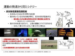 ①運動制御の進化では，シナジーの細分化（幸運
な変異による革命的な進化）と同時に再編成もあり，
それは動物の身体構造および生活環境の相互作用に
依存
②生体運動制御における自由度の克服
• 非対称性緊張性頸反射
• 右を向いたら右の手が伸びる反射
• 首の向いている方向の腕が伸び，反対の肘が屈曲する
• 最も強い力が必要な特別な状況で無意識に出現する
• 潜在的シナジーの存在を示唆
• 首の方向を変えるだけで，上肢の運動にバイアスがかかる
• 右向いて書く文字と左向いて書く文字とが異なる
運動の発達から見たシナジー
[1] 筧 慎治, 脊椎動物の筋シナジーの創発と系統進化, 第21回創発システム・シンポジウム創発夏の学校, 基調講演, 2015.
 