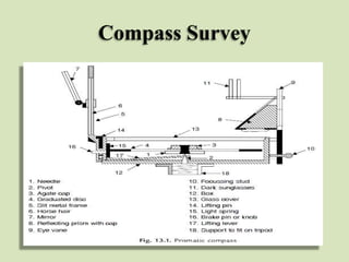 Surveying | PPTX