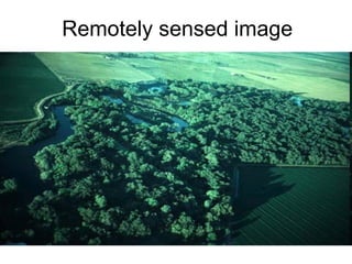 Remotely sensed image
 