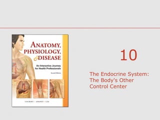 10
The Endocrine System:
The Body's Other
Control Center

 