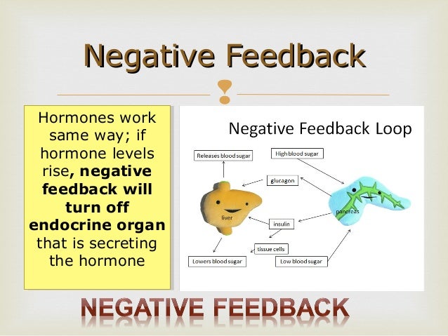 Survey of Anatomy and Physiology Chap 10