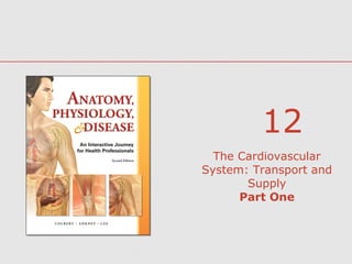 12
The Cardiovascular
System: Transport and
Supply
Part One

 