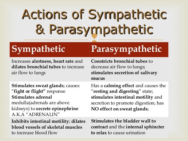 Survey of Anatomy and Physiology Chap 9 Part One