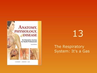 13
The Respiratory
System: It's a Gas

 