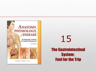 15
The Gastrointestinal
System:
Fuel for the Trip

 
