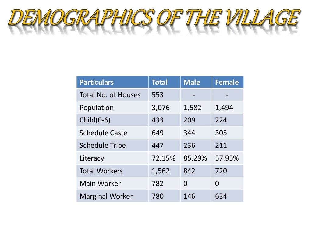 A report on village survey
