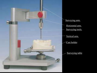 Horizontal arm.
Surveying arm.
Surveying tools.
Vertical arm.
Cast holder
Surveying table
 