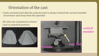 Orientation of the cast
• Casts oriented such that the anterior part is always toward the vertical member
of surveyor and away from the operator
All casts are considered as lower
casts in standard position
 