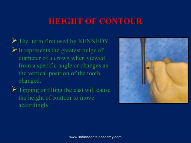 dental circular contour definition