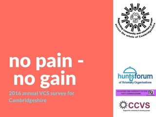 2016 Cambridgeshire VCS survey