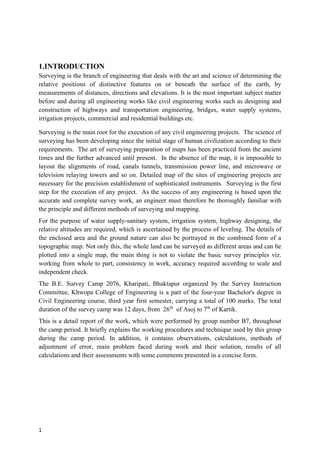 Survey report sample BCE