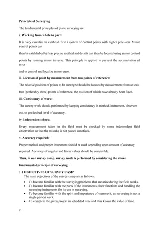 Survey report sample BCE