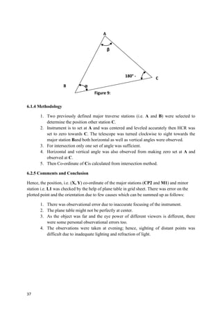 Survey report sample BCE