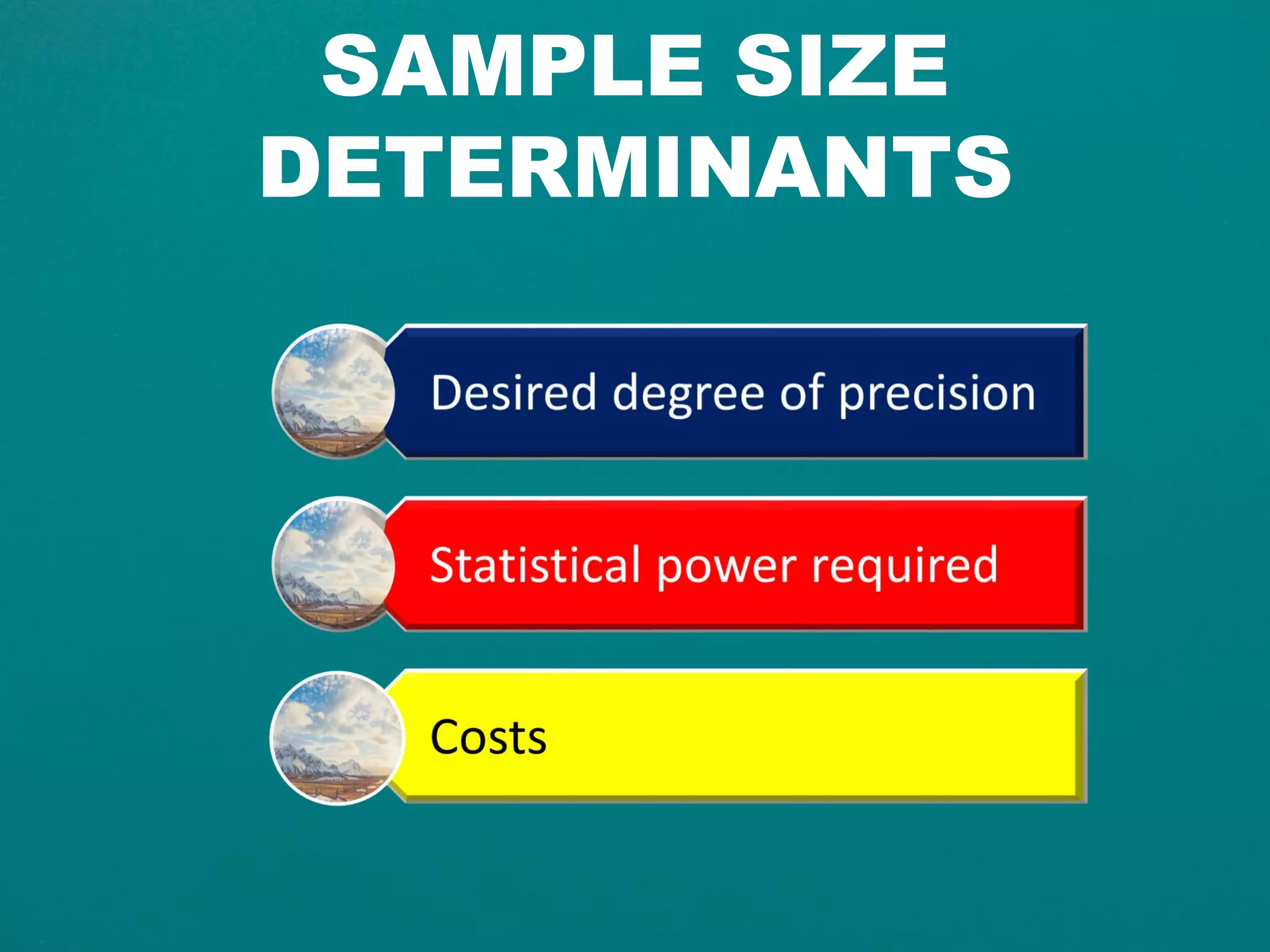 SAMPLE SIZE
DETERMINANTS
 