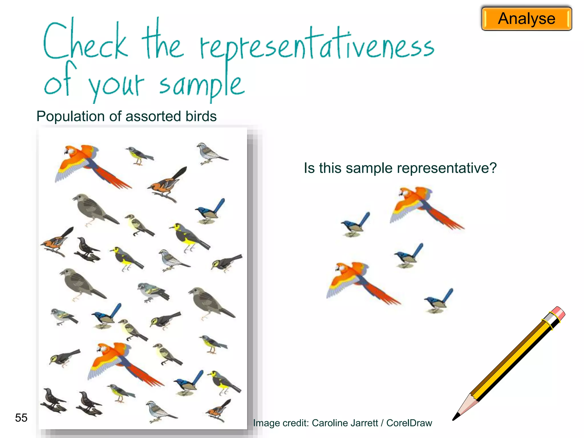 55
Population of assorted birds
Is this sample representative?
Image credit: Caroline Jarrett / CorelDraw
Analyse
 