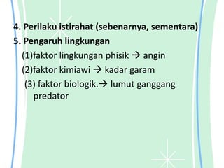 4. Perilaku istirahat (sebenarnya, sementara)
5. Pengaruh lingkungan
(1)faktor lingkungan phisik  angin
(2)faktor kimiawi  kadar garam
(3) faktor biologik. lumut ganggang
predator
 
