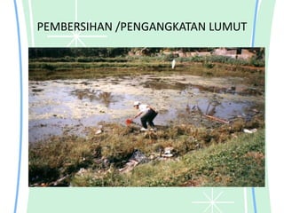 PEMBERSIHAN /PENGANGKATAN LUMUT
 