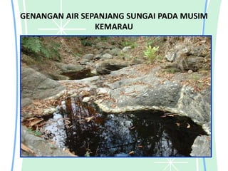 GENANGAN AIR SEPANJANG SUNGAI PADA MUSIM
KEMARAU
 