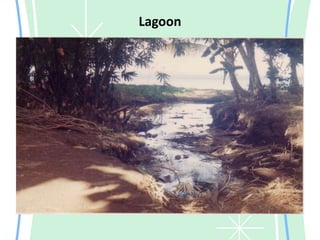 Lagoon
 