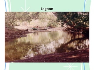 Lagoon
 