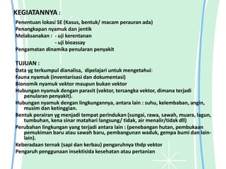 KEGIATANNYA :
Penentuan lokasi SE (Kasus, bentuk/ macam perauran ada)
Penangkapan nyamuk dan jentik
Melaksanakan : - uji kerentanan
- uji bioassay
Pengamatan dinamika penularan penyakit
TUJUAN :
Data yg terkumpul dianalisa, dipelajari untuk mengetahui:
Fauna nyamuk (inventarisasi dan dokumentasi)
Bionomik nyamuk vektor maupun bukan vektor
Hubungan nyamuk dengan parasit (vektor, tersangka vektor, dimana terjadi
penularan penyakit).
Hubungan nyamuk dengan lingkungannya, antara lain : suhu, kelembaban, angin,
musim dan ketinggian.
Bentuk perairan yg menjadi tempat perindukan (sungai, rawa, sawah, muara, lagun,
tumbuhan, kena sinar matahari langsung/ tidak, air menalir/tidak dll)
Perubahan lingkungan yang terjadi antara lain : (penebangan hutan, pembukaan
pemukiman baru atau sawah baru, pembangunan waduk, gempa bumi dan lain-
lain).
Keberadaan ternak (sapi dan kerbau) pengaruhnya thdp vektor
Pengaruh penggunaan insektisida kesehatan atau pertanian
 