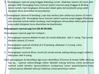 3. Penangkapan nyamuk yang hinggap didinding rumah dilakukan selama 10 menit oleh
petugas UOD. Penangkap harus mencari (jalan) nyamuk yang hinggap di dinding
dalam rumah, hasil tangkapan dimasukan dalam gelas kertas/plastik yang sudah
disiapkan terus diserahkan ke kooridantor.
4. Penangkapan nyamuk di kandang ( sapi atau kerbau) dan sekitarnya selama 10 menit
oleh petugas UOL. Penangkap harus mencari (jalan) nyamuk yang hinggap dikandang
atau disemak-semak sekitar kandang, hasil tangkapan dimasukkan dalam gelas kertas
yang sudah disiapkan terus diserahkan ke koordinator.
Penangkapan nyamuk pagi hari (06.00-08.000).
Penangkapan nyamuk pagi hari meliputi :
1. Penangkapan nyamuk didalam 8 atau 16 rumah dilakukan oleh 2 orang. Tiap rumah
dikoleksi selama 15 menit.
2. Penangkapan nyamuk istirahat di 2-4 kandang, dilakukan 1-2 orang. Lama
penangkapan 15 menit.
3. Penangkapan nyamuk diluar rumah (di semak-semak, tebing-tebing sungai/ selokan),
dikerjakan oleh 4 orang.
Hasil penangkapan di identifikasi dgn kunci identifikasi O’Connor & Arwati 1999, dihitung
tiap sp,, nyamuk vektor/diduga vektor dibedah indung telurnya untuk penentuan
nyamuk sudah bertelur (parous)/belum (nuliparous) (umur populasi/parity rate),
nyamuk parous dibedah kelenjar ludahnya untuk penentuan vektor.
 