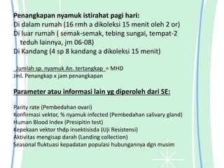 Penangkapan nyamuk istirahat pagi hari:
Di dalam rumah (16 rmh a dikoleksi 15 menit oleh 2 or)
Di luar rumah ( semak-semak, tebing sungai, tempat-2
teduh lainnya, jm 06-08)
Di Kandang (4 sp 8 kandang a dikoleksi 15 menit)
Jumlah sp. nyamuk An. tertangkap = MHD
Jml. Penangkap x jam penangkapan
Parameter atau informasi lain yg diperoleh dari SE:
Parity rate (Pembedahan ovari)
Konfirmasi vektor, % nyamuk infected (Pembedahan salivary gland)
Human Blood Index (Presipitin test)
Kepekaan vektor thdp insektisisda (Uji Resistensi)
Aktivitas mengisap darah (Landing collection)
Seasonal fluktuasi kepadatan populasi hubungannya dgn musim
 