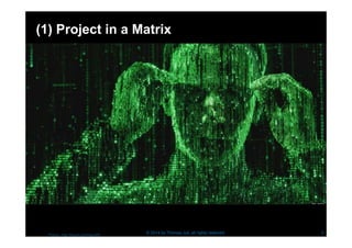 (1) Project in a Matrix 
© 2014 by Thomas Juli, all rights reserved Picture : http://tinyurl.com/mazu85t 
3 
 