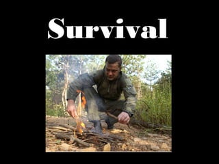 Survival

 