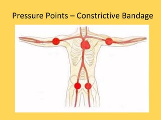 Pressure Points – Constrictive Bandage 