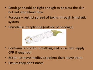 Bandage should be tight enough to depress the skin but not stop blood flow Purpose – restrict spread of toxins through lymphatic system Immobilise by splinting (outside of bandage) Continually monitor breathing and pulse rate (apply CPR if required) Better to move medics to patient than move them Ensure they don’t move 