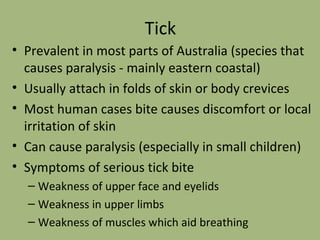 Tick Prevalent in most parts of Australia (species that causes paralysis - mainly eastern coastal) Usually attach in folds of skin or body crevices Most human cases bite causes discomfort or local irritation of skin Can cause paralysis (especially in small children) Symptoms of serious tick bite Weakness of upper face and eyelids Weakness in upper limbs Weakness of muscles which aid breathing 