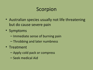 Scorpion Australian species usually not life threatening but do cause severe pain Symptoms Immediate sense of burning pain Throbbing and later numbness Treatment Apply cold pack or compress Seek medical Aid 