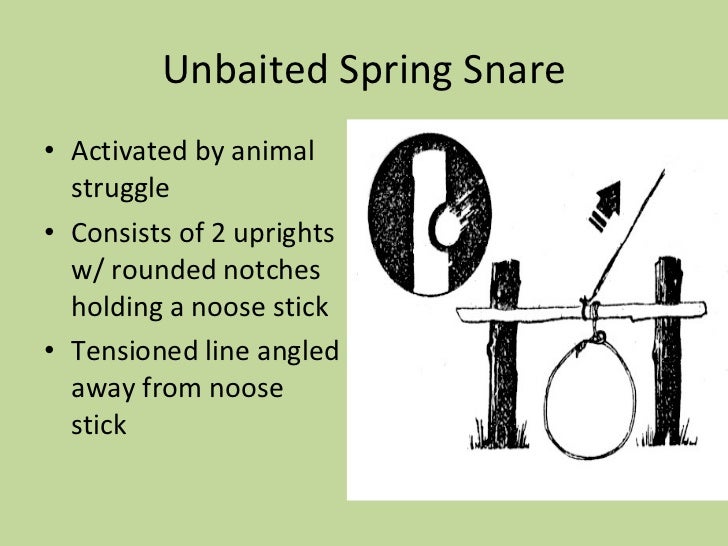 Animal Survival Snare