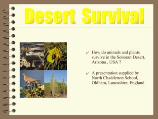 [object Object],[object Object],Desert  Survival 