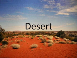 Desert members.ozemail.com.au 