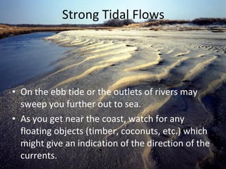 Strong Tidal Flows On the ebb tide or the outlets of rivers may sweep you further out to sea.  As you get near the coast, watch for any floating objects (timber, coconuts, etc.) which might give an indication of the direction of the currents. hoganphoto.com 