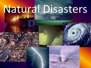 Natural Disasters armageddononline.org 