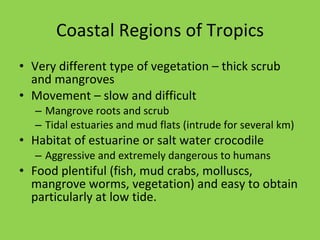 Coastal Regions of Tropics Very different type of vegetation – thick scrub and mangroves Movement – slow and difficult Mangrove roots and scrub Tidal estuaries and mud flats (intrude for several km) Habitat of estuarine or salt water crocodile Aggressive and extremely dangerous to humans Food plentiful (fish, mud crabs, molluscs, mangrove worms, vegetation) and easy to obtain particularly at low tide. 
