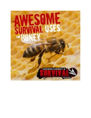 Survival Uses of Honey