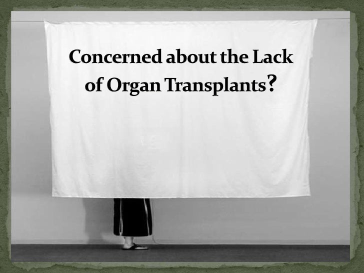 John harris the survival lottery essay example 07 image