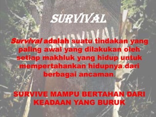 SURVIVAL
Survival adalah suatu tindakan yang
paling awal yang dilakukan oleh
setiap makhluk yang hidup untuk
mempertahankan hidupnya dari
berbagai ancaman.

SURVIVE MAMPU BERTAHAN DARI
KEADAAN YANG BURUK

 