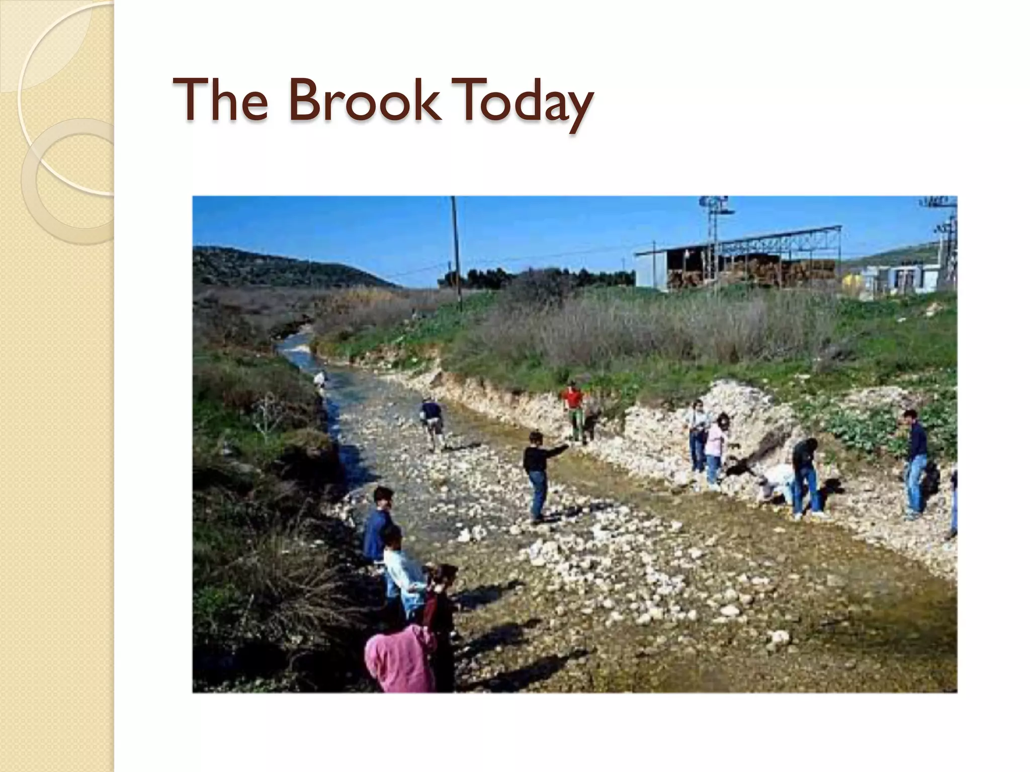 The Brook Today
 