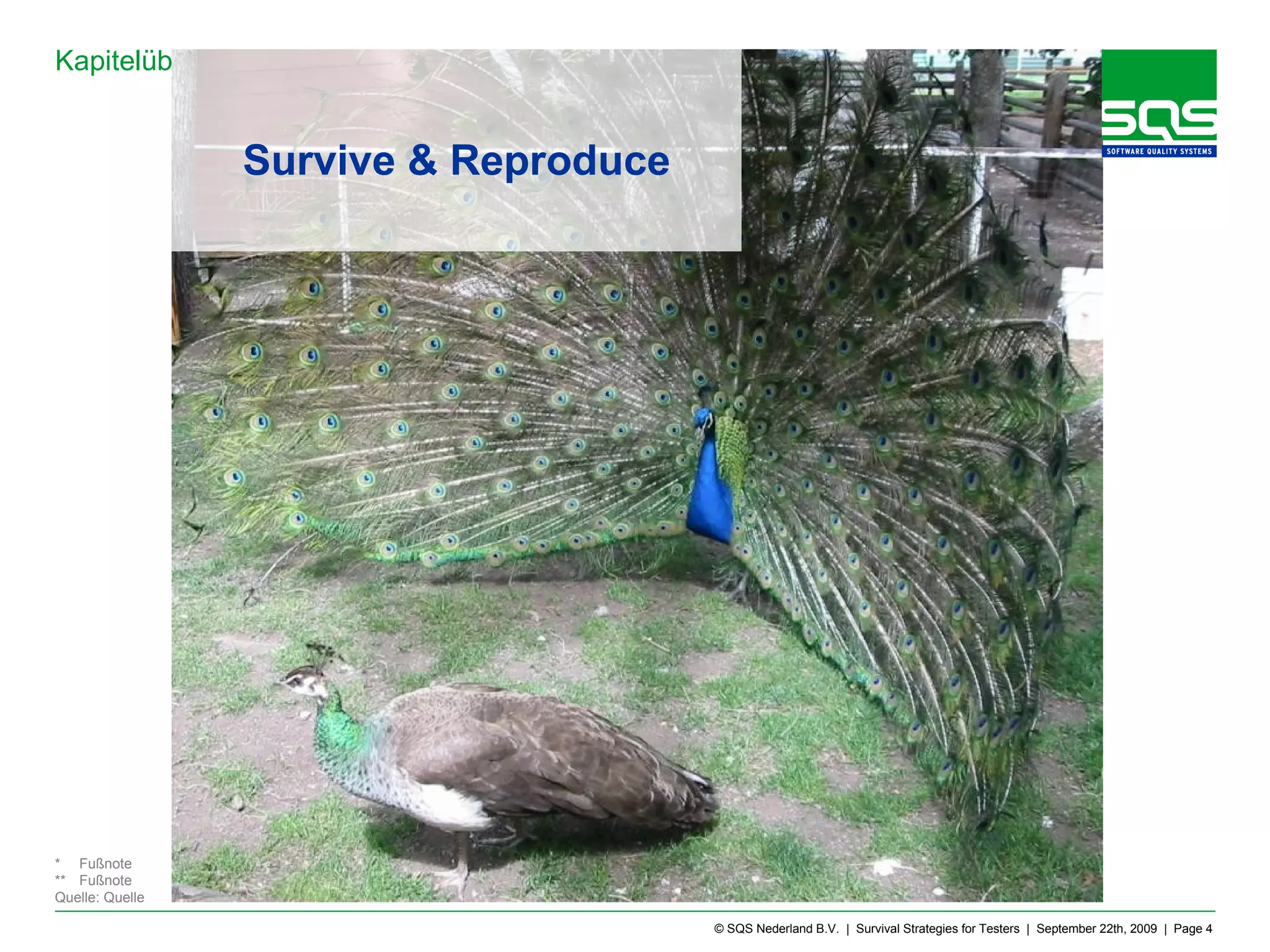 Survive & Reproduce 