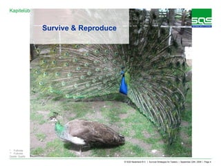 Survive & Reproduce 